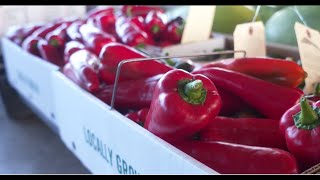 Farm to Ohio: Appalachian Food & Culture Initiative 
