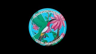 Operation Hummingbird: Mindful Acts of Kindness