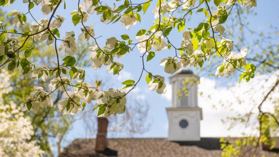  Spring Cutler Hall 