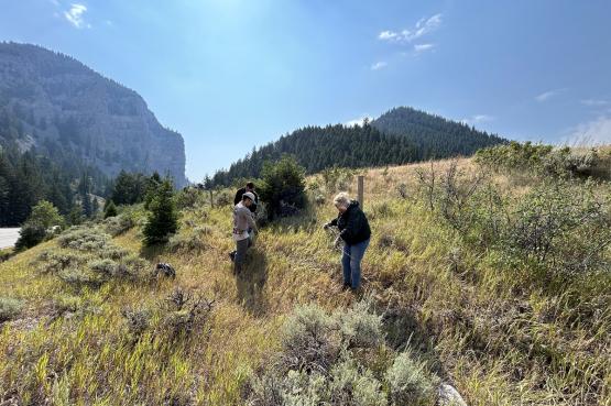  OHIO faculty are shown working outside on a hillside 