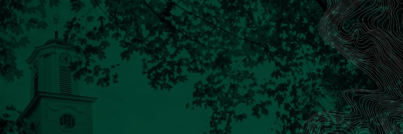 tree on Ohio University campus