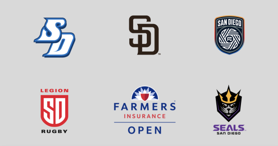 san diego consulting