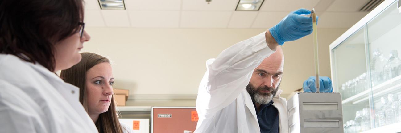 Ronan Carroll lab 
