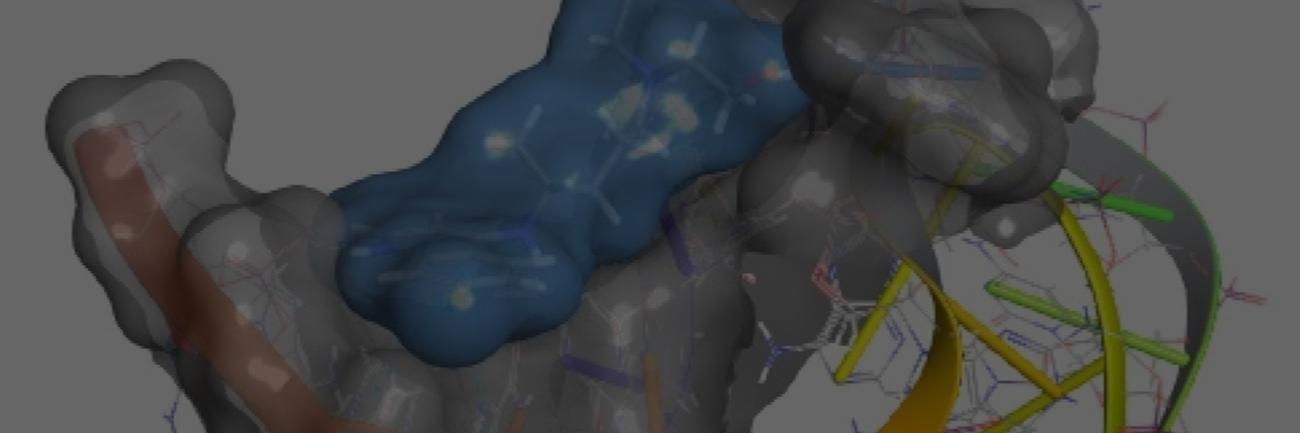 Jennifer Hines RNA 4-aminoquinolines