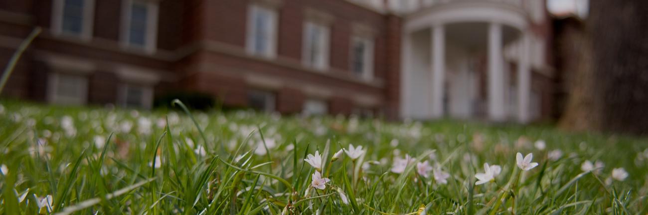 Ellis Hall graced by a lawn full of spring blooms
