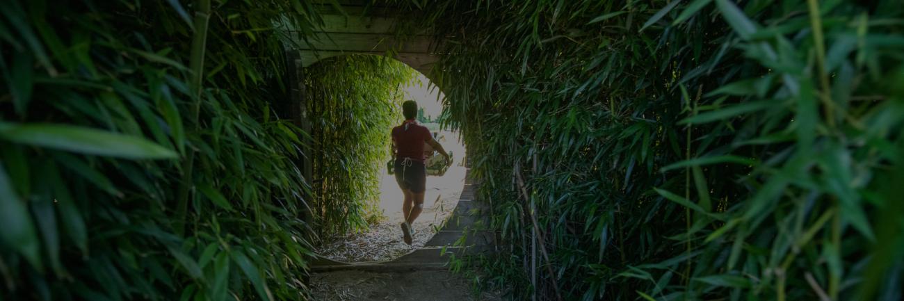 A student carries a basket at the Ohio University Student Farm.