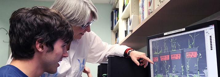 Adam Cook worked with Dr. Sarah Wyatt on an experiment to the International Space Station.