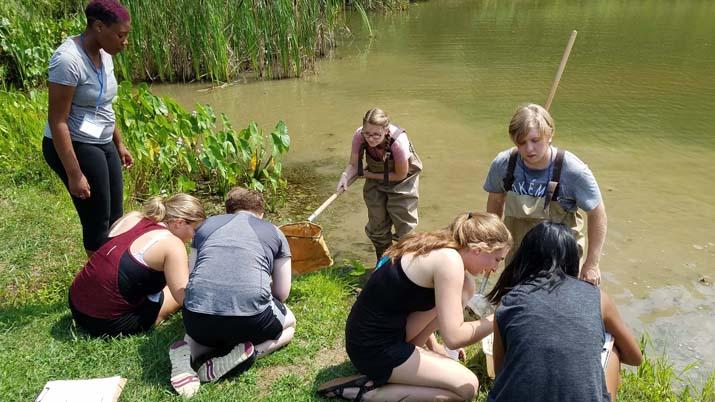 Stemstart aquatic experiment