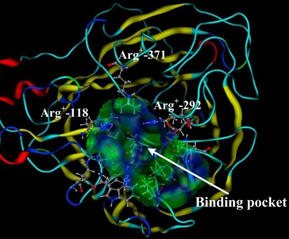 Binding Packet