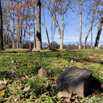 Limestone slabs mark a cemetery of enslaved individuals at Andrew Jackson's Heritage.jpg (191 K