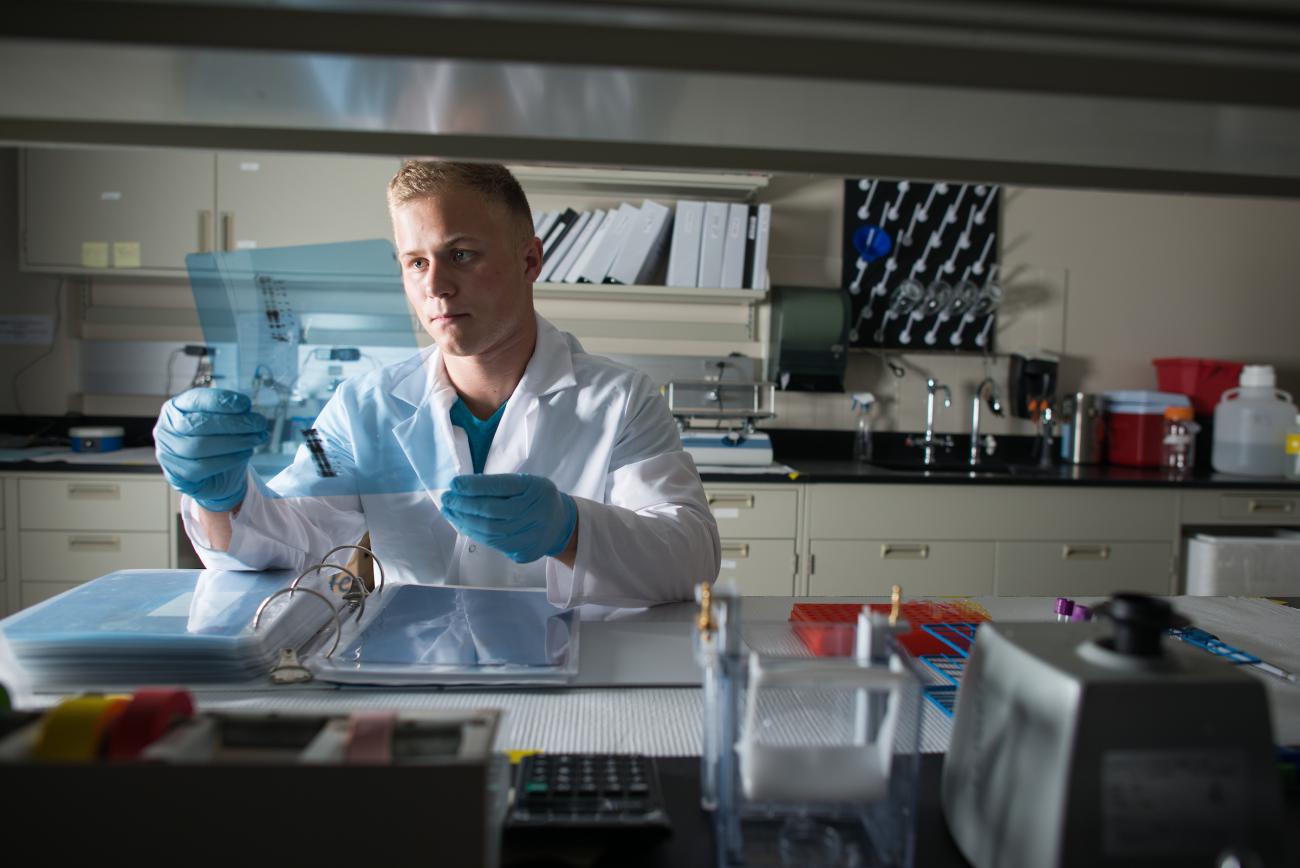 Dominic Maschari looks at slides to complete diabetes research.
