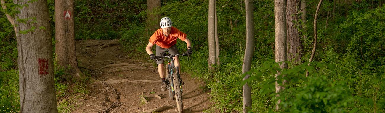 Person riding bike