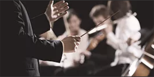 An orchestra performs