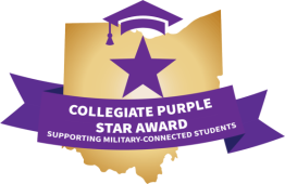 Collegiate purple star badge