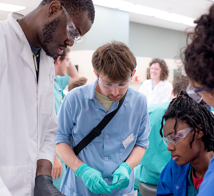 Four students working in the Gross Anatomy Lab