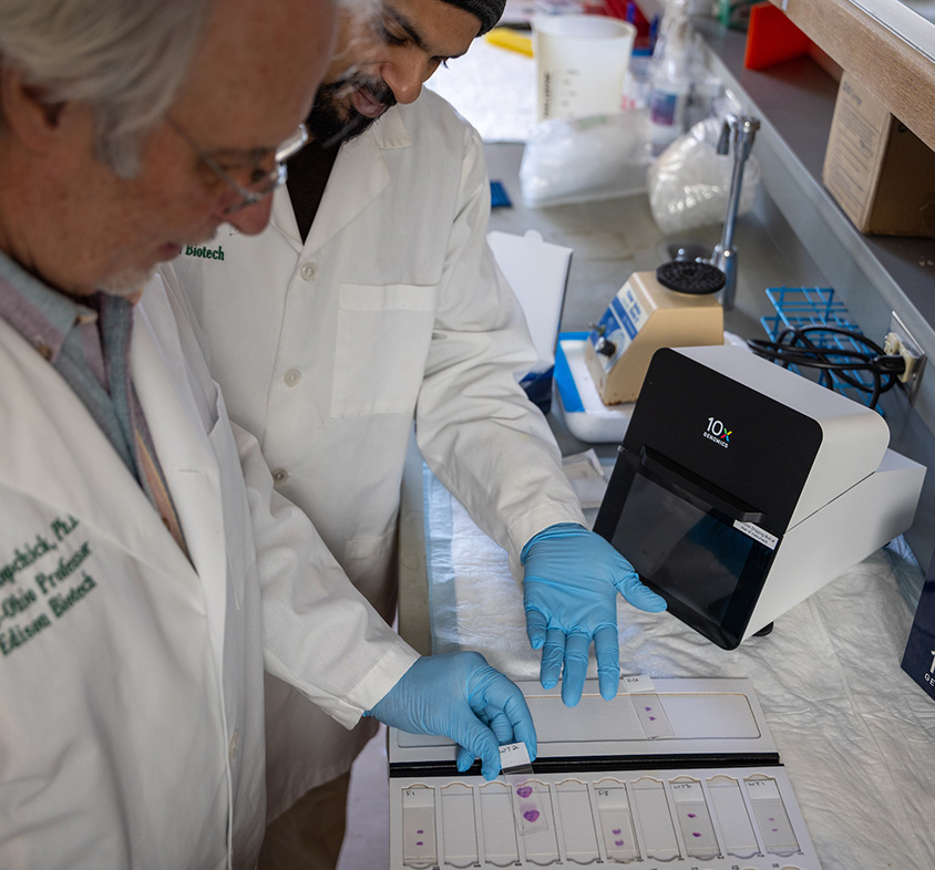 Dr. Kopchick analyzing samples in a lab.