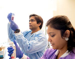 2 student researchers
