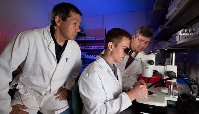 Biomedical Sciences Graduate Studies
