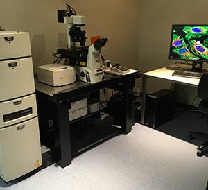 Nikon A1R Microscope
