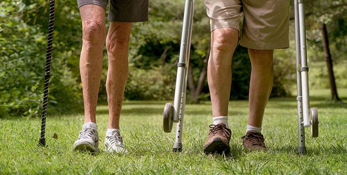 Walkers with cane