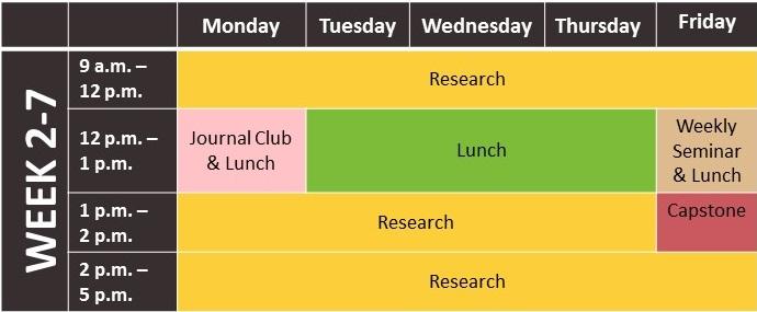 DISIRE sample week 2-7 schedule