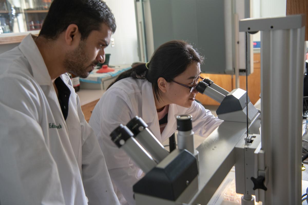 Dr. Basu observing student.
