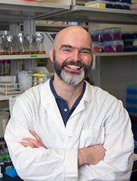 Ronan Carroll, PhD's profile picture Carroll Profile Photo