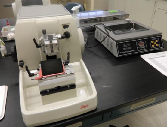 Microtome Leica RM2235