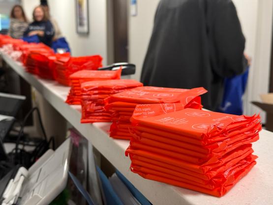 Period Action Day pads
