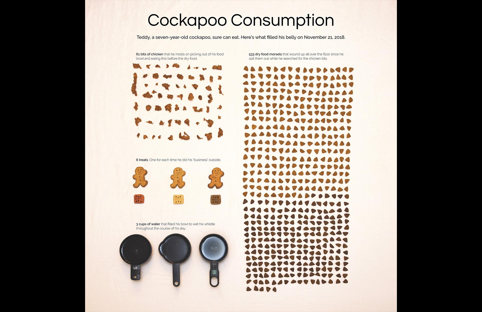 infographic dogfood