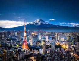 The city of Tokyo