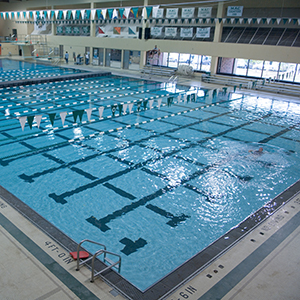 View of pool from above