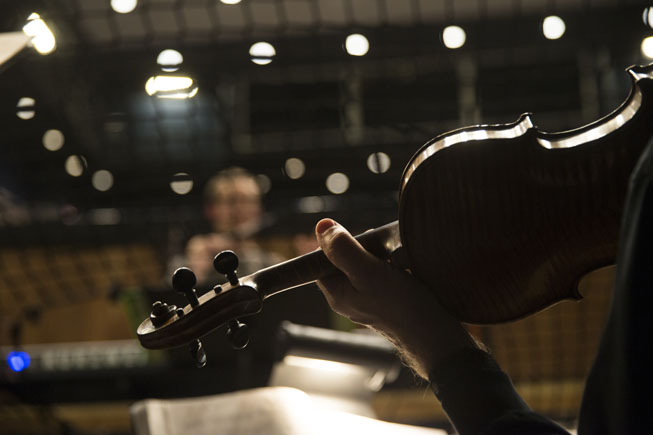 Violin