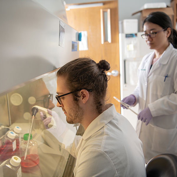 Ohio University students work in a lab