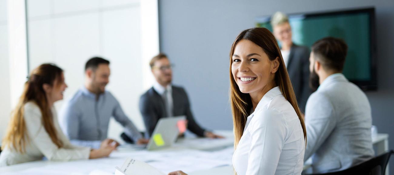 Team of business professionals having a meeting