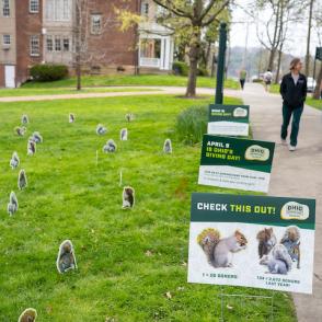 Athens campus main green covered in squirrel signs promoting Giving Day
