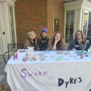Swarm of Dykes
