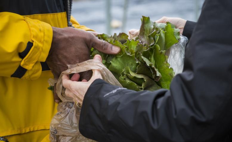 A student's produce is packed in a plastic bag.