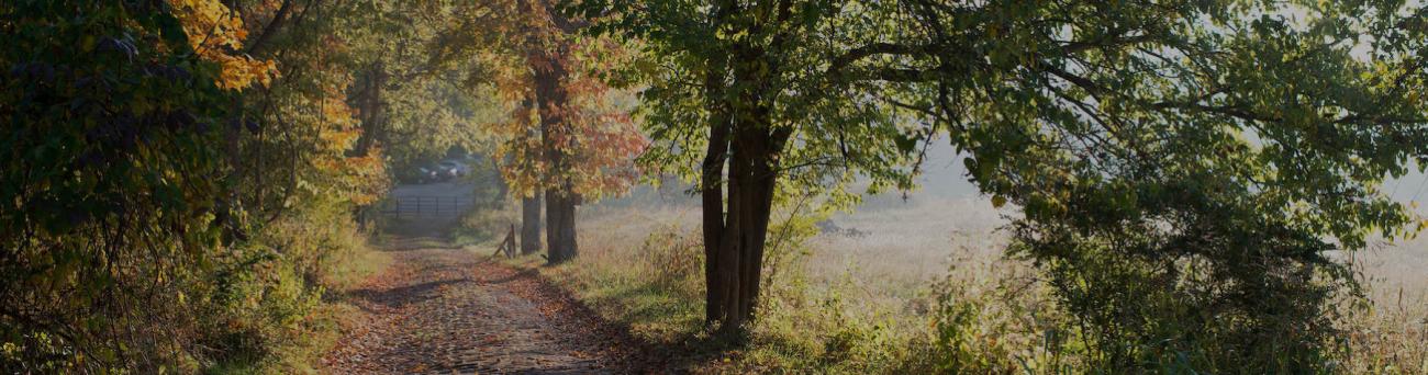 Trail
