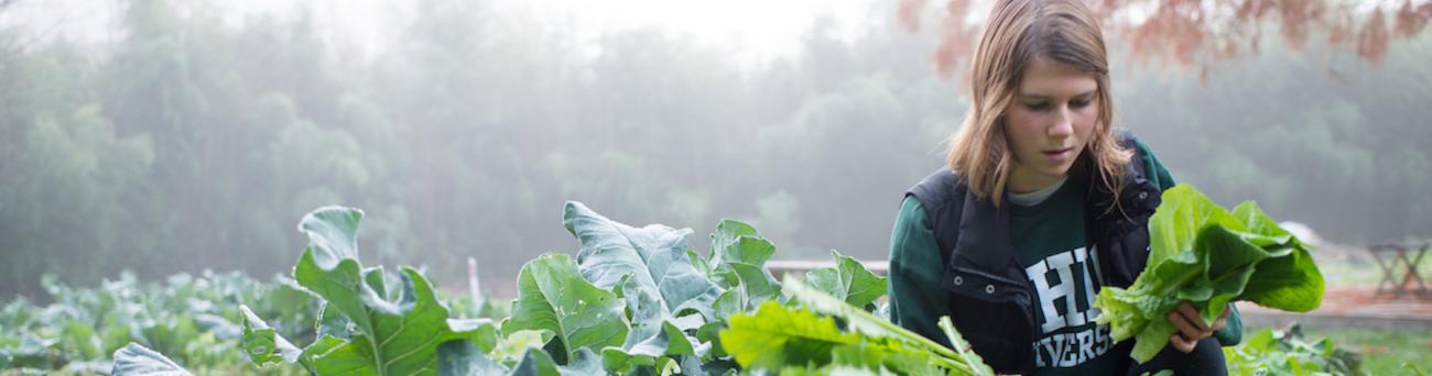 student working in garden on campus