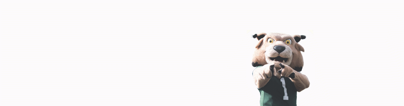 Seed Fund Header