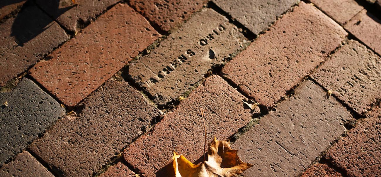 Close-up of Athens Block bricks.