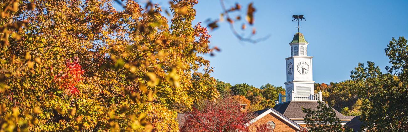 Steeple surrounded by trees