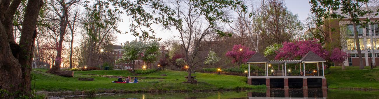 Students sitting in Emeriti park at sunset