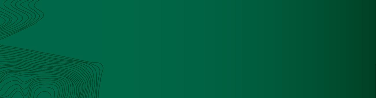 A green background with squiggle designs