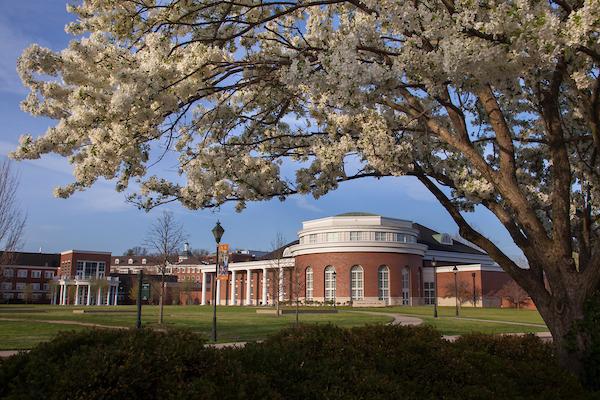 Walter Hall and a blossoming cherry tree