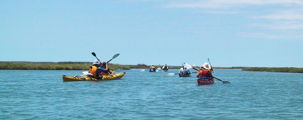 A group of people kayaking on a lake. 