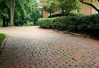 Brick flooring outside underneath foliage