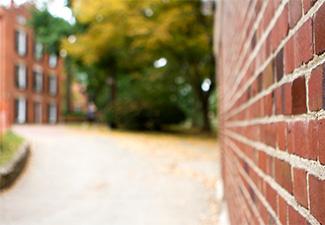 Brick wall
