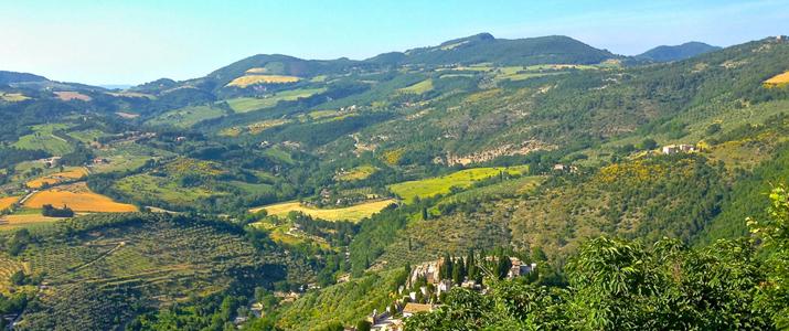 Open fields in mountains